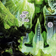 Image for article titled The New DC 52, Week 1 (Flashpoint #5 and Justice League)